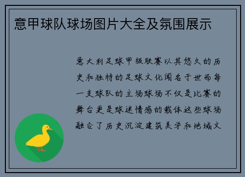 意甲球队球场图片大全及氛围展示
