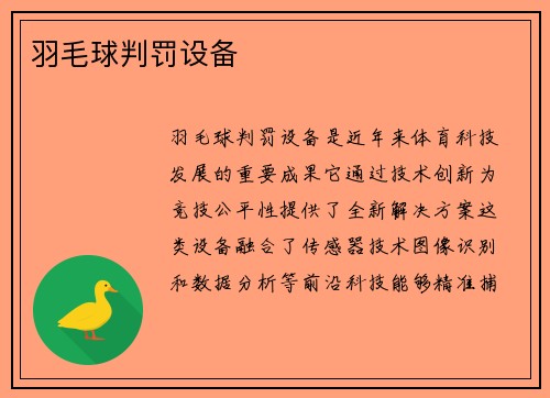 羽毛球判罚设备